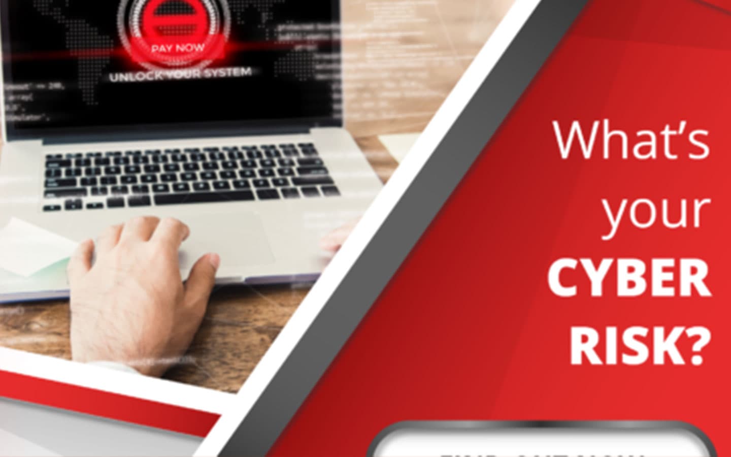 What’s Your CYBER RISK?